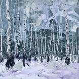 Winter birch by Anastasia Kachina