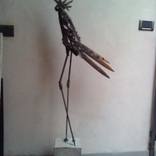 Walking Bird by Andrea Massara
