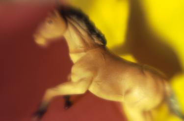 Print of Conceptual Horse Photography by Tamarra Tamarra