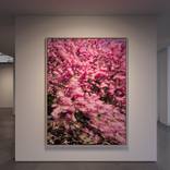 Cherry blossom in Blooklyn - Limited Edition of 8 by Giuseppe Lo Schiavo