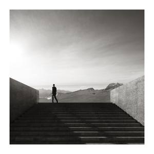 Collection Photographs for Under $500