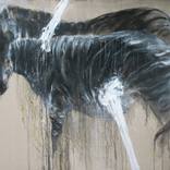 Zebra by Shihan Tang