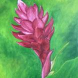 Tropical Ginger by Lisa Shiroma