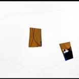 rECTANGULAR rEMAINS - tHE tREES sERIES by Armano Jericevic