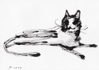 Original Expressionism Cats Drawings by Jenea Kaitaz