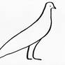 Collection Pigeon (Dove)