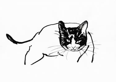 Original Cats Drawings by Jenea Kaitaz