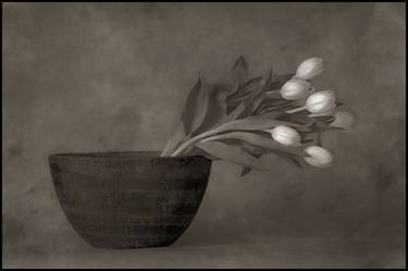 Print of Fine Art Floral Photography by Damir Sirola