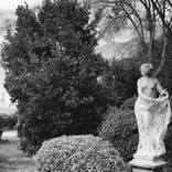 Collection Curator Picks: Photo Prints