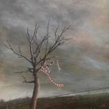 Cautionary Tale by Vauney Strahan