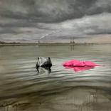 Jetsam by Vauney Strahan