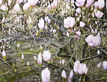 Original Impressionism Floral Paintings by Cezary Kielar