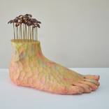 Sprout on foot by Haruko Yamada