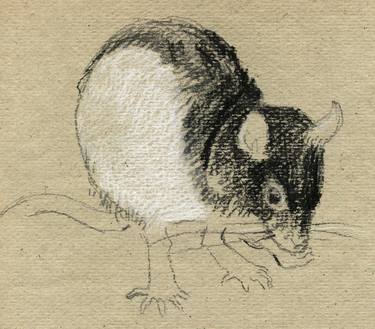 Original Animal Drawings by Indrė Bankauskaitė