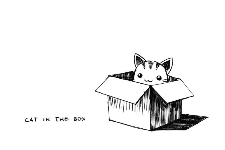 Cat In The Box Drawing By Indrė Bankauskaitė Saatchi Art