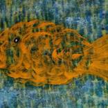 A big fish 2 by Aristides Meneses