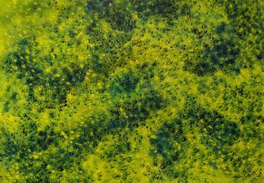 Yellow clovers seen from the roof thumb