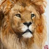 red wild Lion by Marie-Helene Stokkink