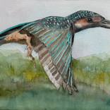 Kingfisher by Marie-Helene Stokkink