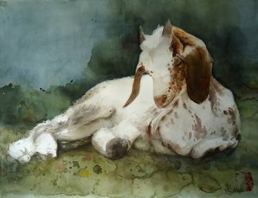 Original Animal Paintings by Marie-Helene Stokkink