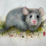 The mouse of the house by Marie-Helene Stokkink