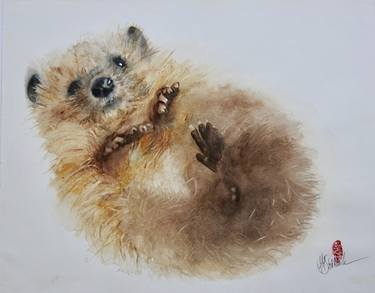 Original Animal Paintings by Marie-Helene Stokkink