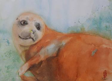 Wild orange Seal thumb
