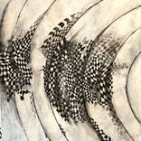 Sonic Waves by Ellen Shire
