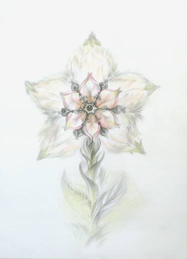 Print of Botanic Drawings by Eugenia Danilova