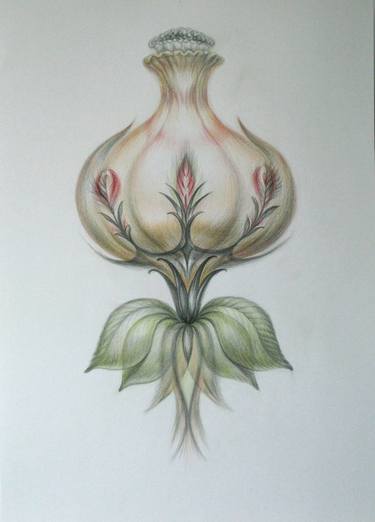 Print of Botanic Drawings by Eugenia Danilova