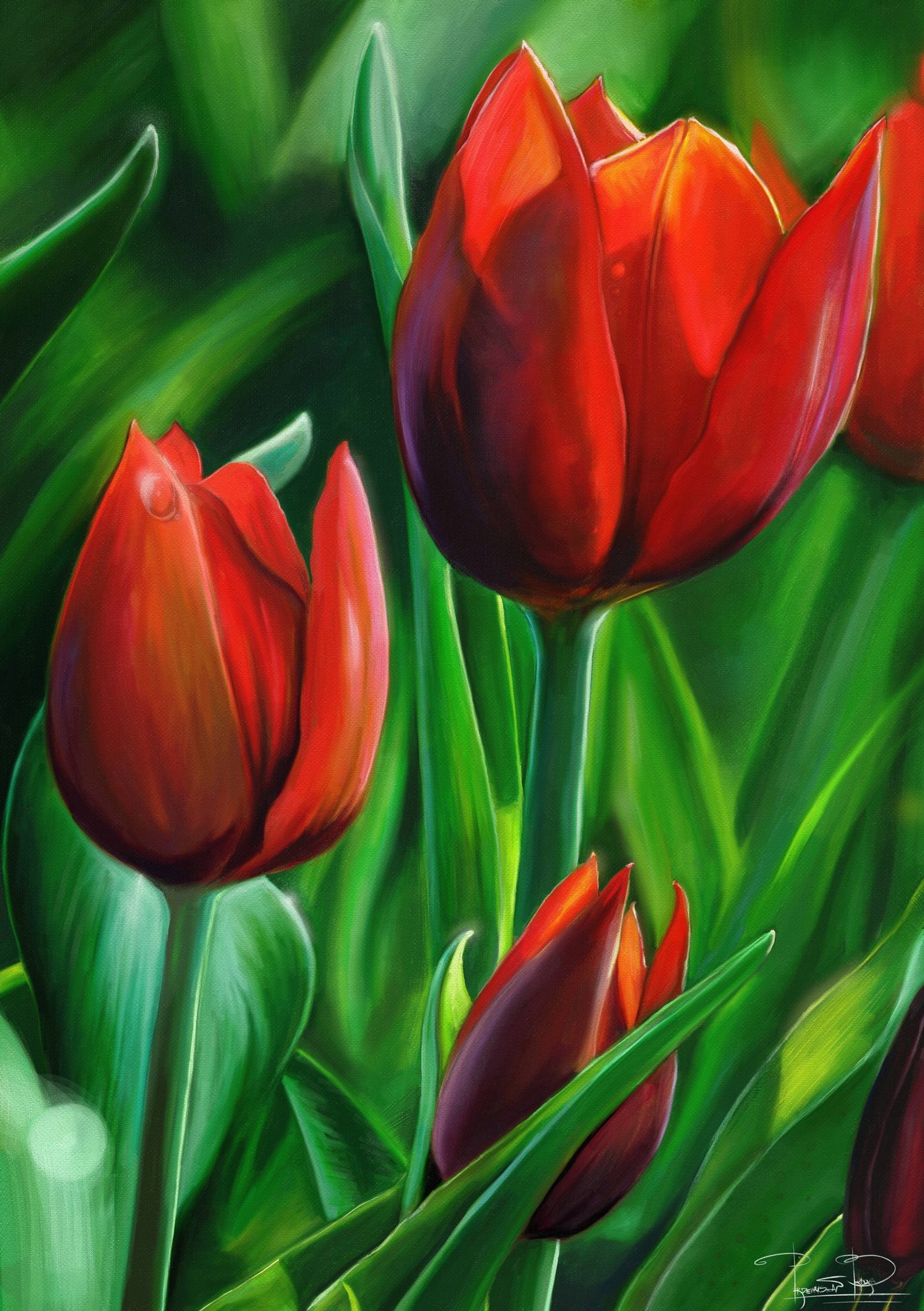 Trio of Red Tulips' flowers digital painting Mixed Media by