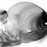 Selfish by Seba Lallemand