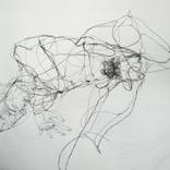 Loose Skin by David Oliveira