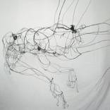 Loose Skin by David Oliveira
