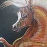 Chestnut Arabian Stallion detail 1