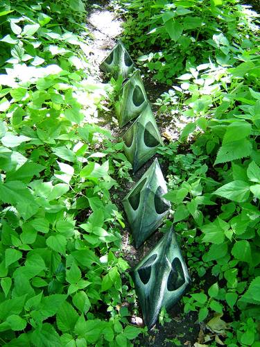 Print of Nature Installation by Francoise Issaly