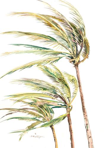 Tropical Wind. Coconut Palms thumb