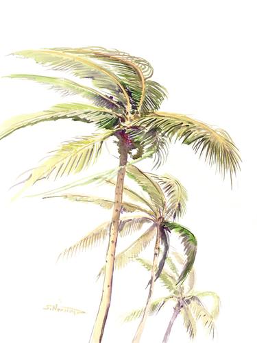 Tropical Wind, Coconut Palms thumb