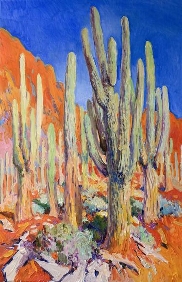 Arizona Desert, Saguaro Cactuses thumb