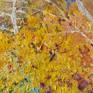 close up