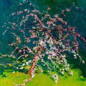 Spring Landscapes thumb