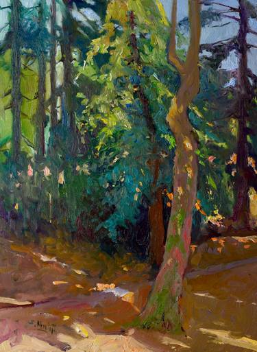 Original Impressionism Landscape Paintings by Suren Nersisyan