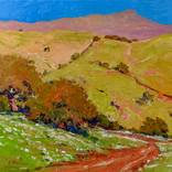 Rolling HIlls. Mountains in Central California by Suren Nersisyan