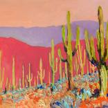 Warm Arizona Evening. Saguaros by Suren Nersisyan