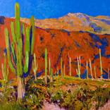 Saguaros and the Colors of Desert by Suren Nersisyan