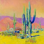Arizona Evening. Saguaros by Suren Nersisyan