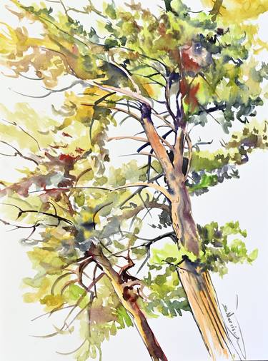 Original Impressionism Tree Paintings by Suren Nersisyan