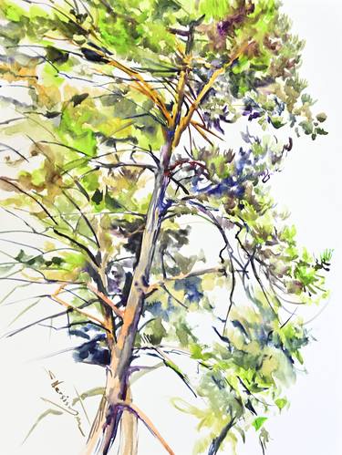 Original Tree Paintings by Suren Nersisyan