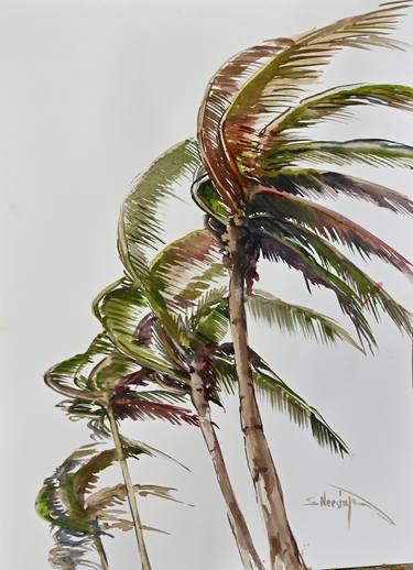 Wind on the BEach, Coconut Palms thumb