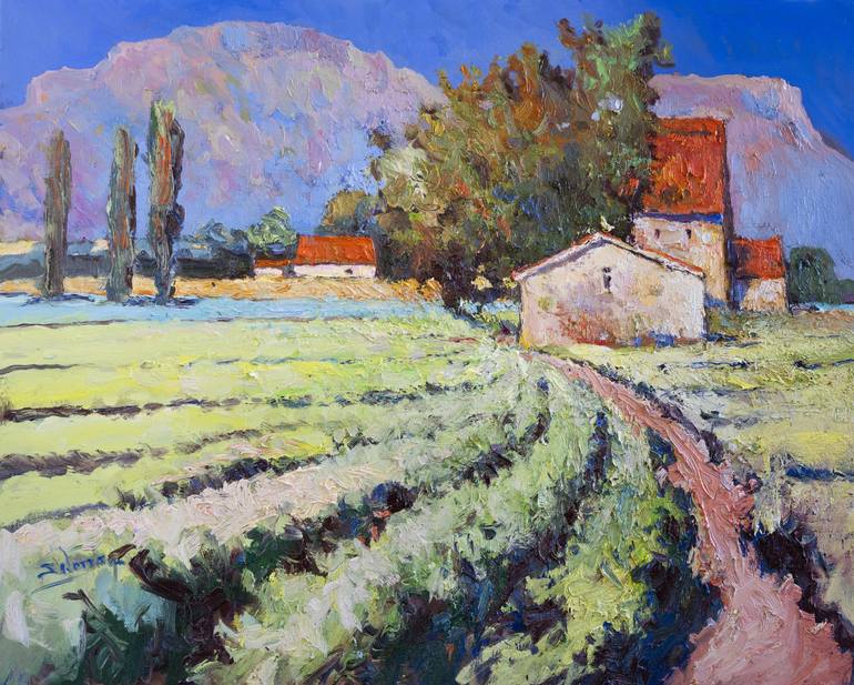 Vineyards in France - Print